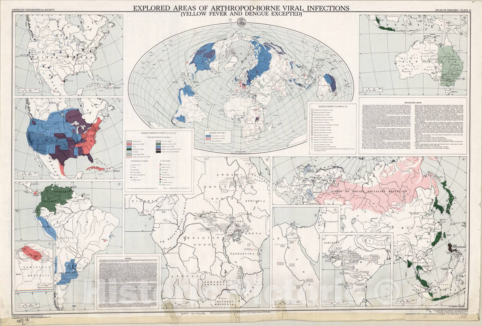 Map : Atlas of Diseases 1954 11, Atlas of diseases, Antique Vintage Reproduction