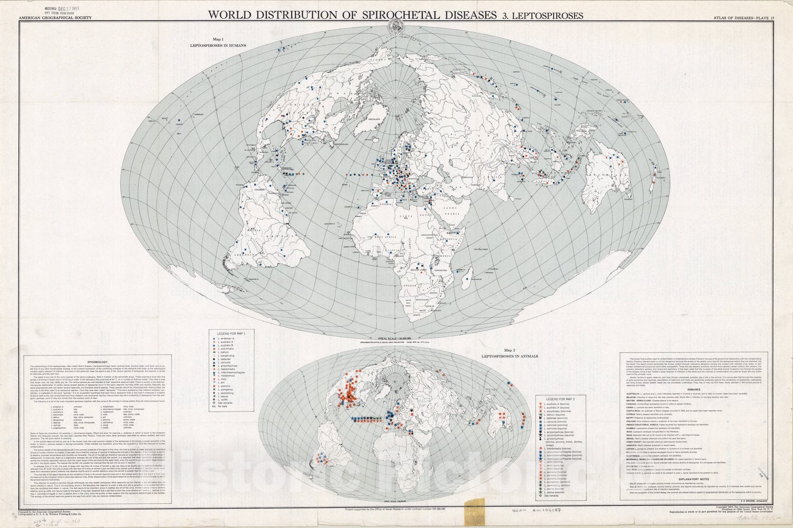 Map : Atlas of Diseases 1954 12, Atlas of diseases, Antique Vintage Reproduction