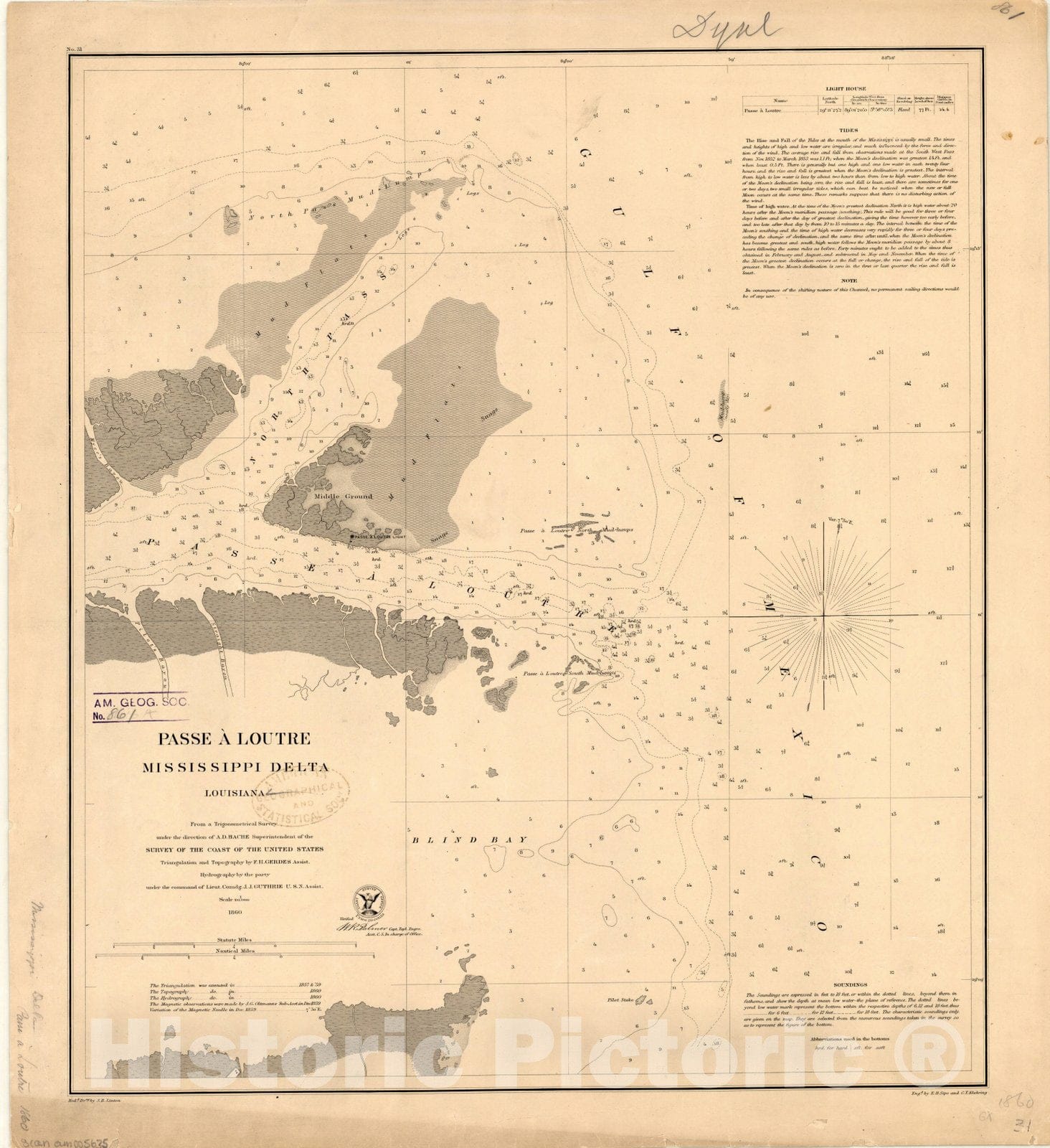 Map : Mississippi Delta, Louisiana 1860, Passe A Loutre, Mississippi Delta, Louisiana , Antique Vintage Reproduction
