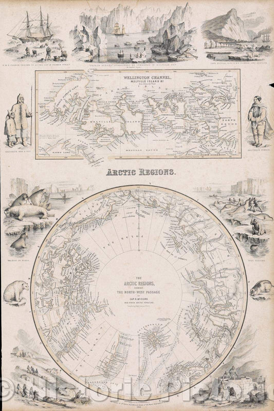 Historic Map : The arctic regions : showing the north-west passage as determined by Cap. R. McClure and other arctic voyagers, 1856 , Vintage Wall Art