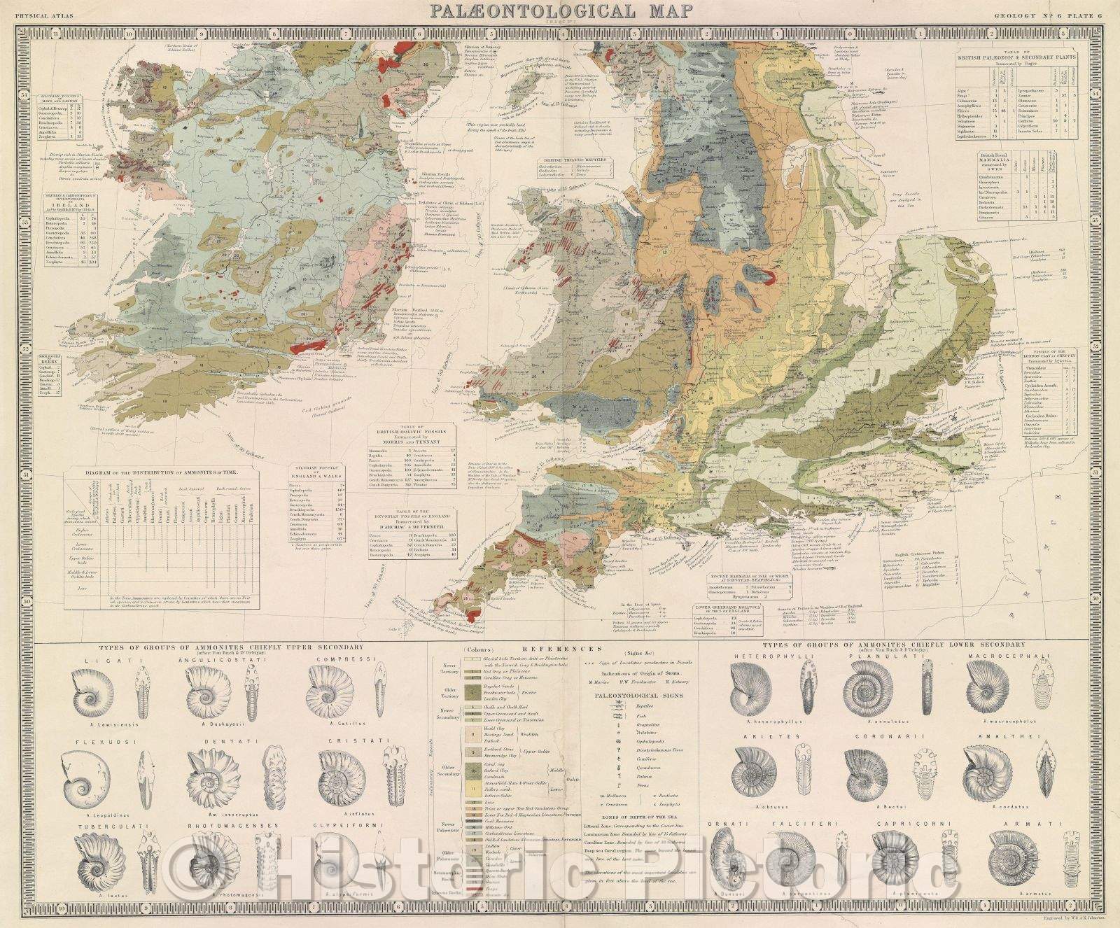 Historic Map : Palaeontogical Map, 1854 , Vintage Wall Art
