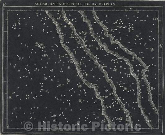 Historic Map : 10  Adler, Antinous, Pfeil, Fuchs, Delphin., 1799 , Vintage Wall Art