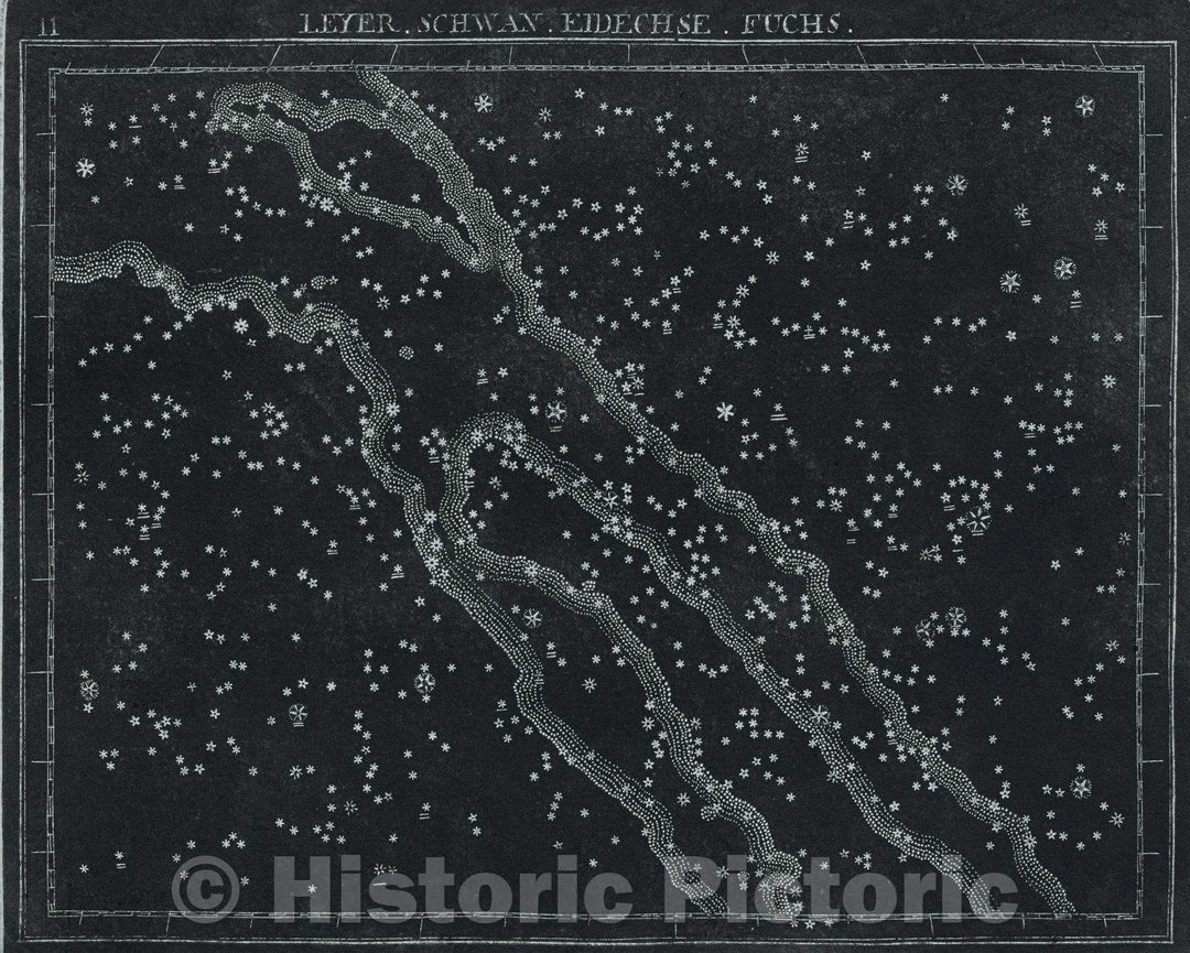 Historic Map : 11  Leyer. Schwan. Eidechse. Fuchs., 1799 , Vintage Wall Art