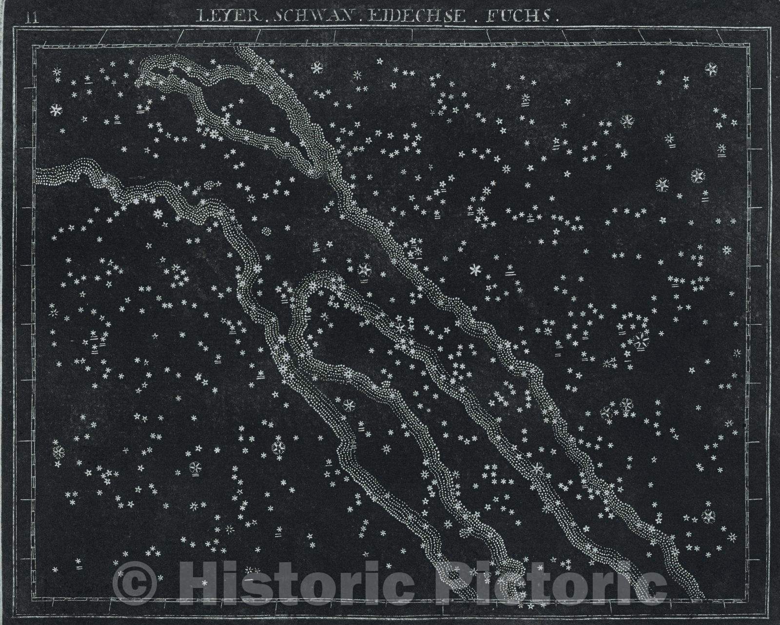 Historic Map : 11  Leyer. Schwan. Eidechse. Fuchs., 1799 , Vintage Wall Art