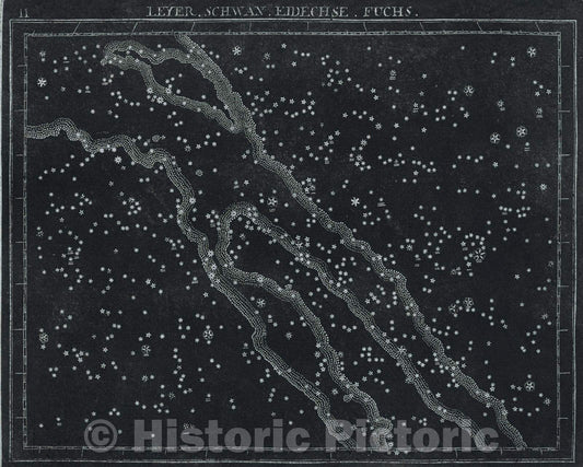 Historic Map : 11  Leyer. Schwan. Eidechse. Fuchs., 1799 , Vintage Wall Art