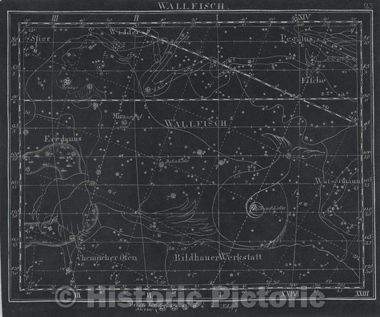 Historic Map : Wallfisch.  23, 1799 , Vintage Wall Art