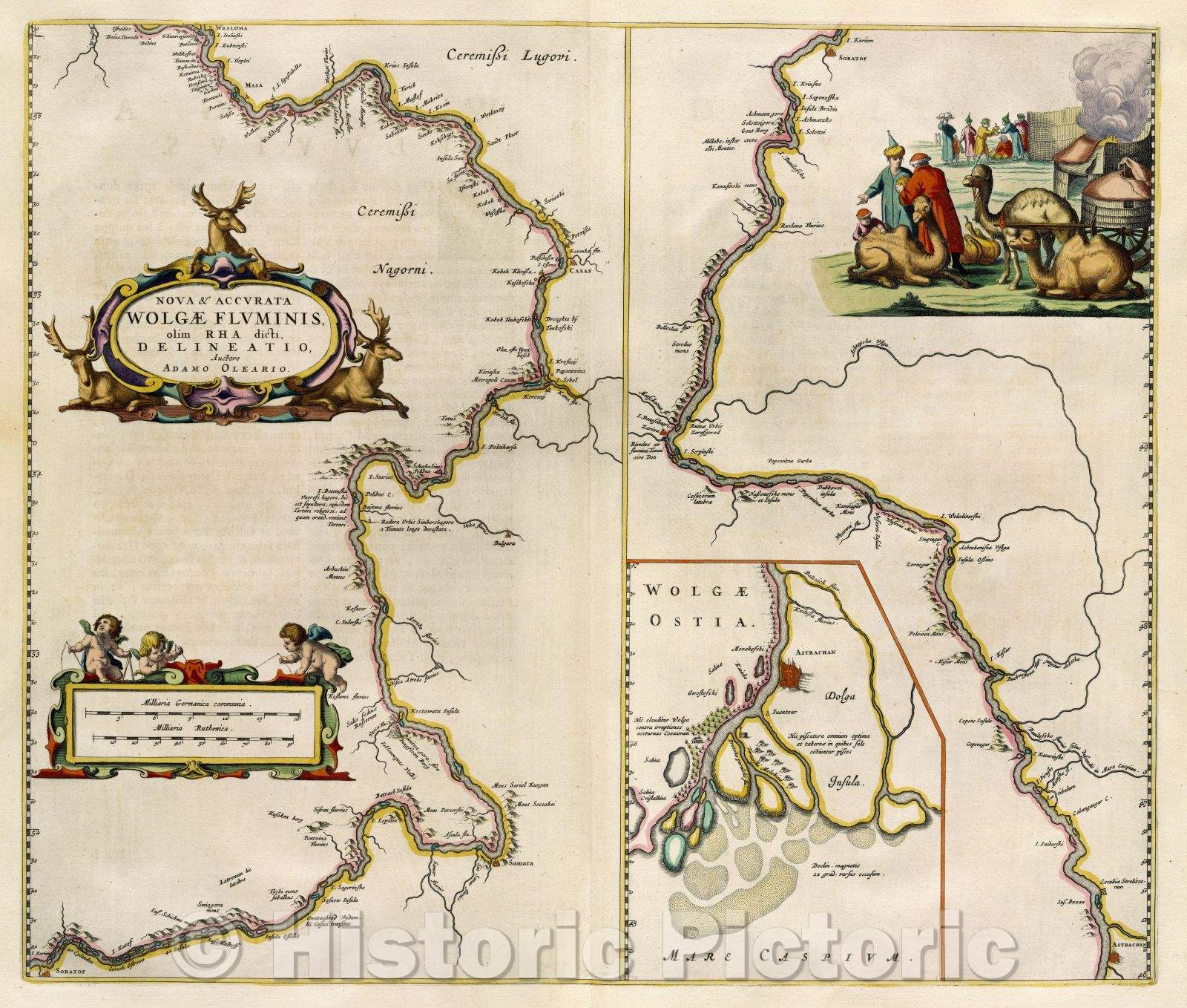 Historic Map : Nova and Accurata Wolgae Fluminis, olim Rha dicti, Delineatio, Auctore Adamo Oleario. Part 1, c. 1664 , Vintage Wall Art