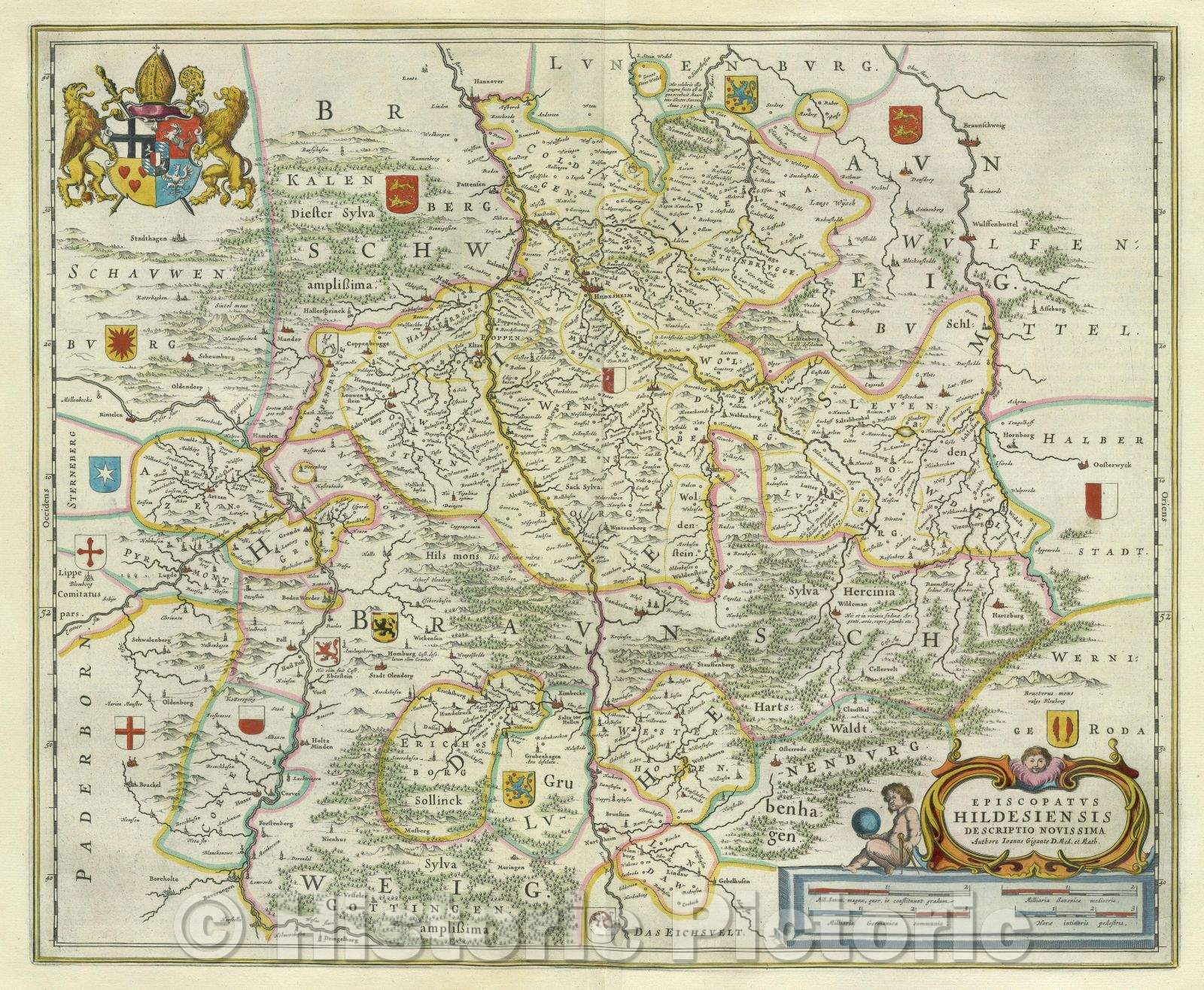 Historic Map : Episcopatus Hildesiensis Descriptio Novissima Authore Joanne Gigante D. Med. et Math., c. 1664 , Vintage Wall Art
