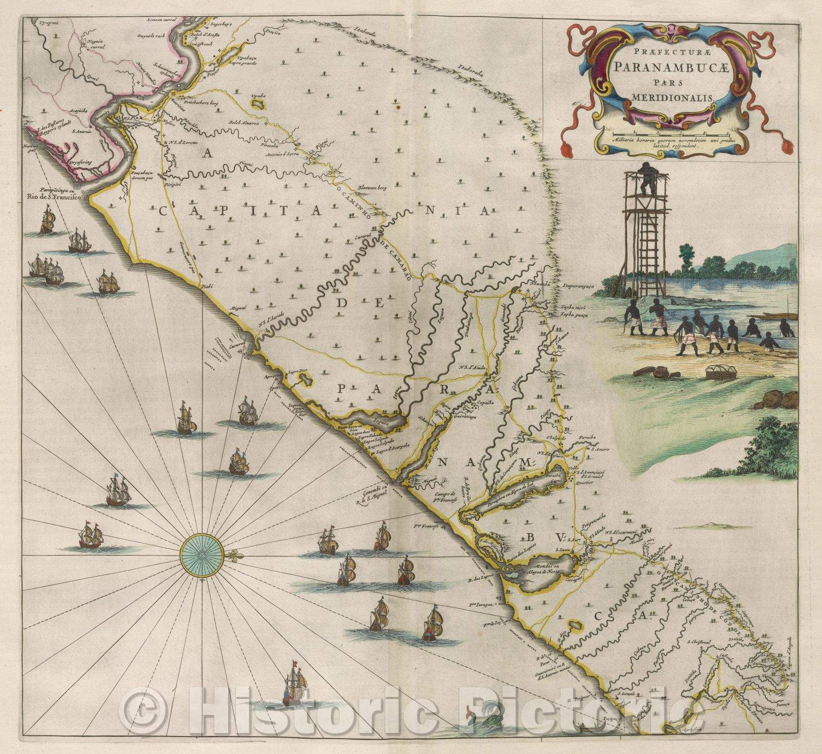 Historic Map : Praefecturae Paranambucae pars meridionalis., c. 1664 , Vintage Wall Art
