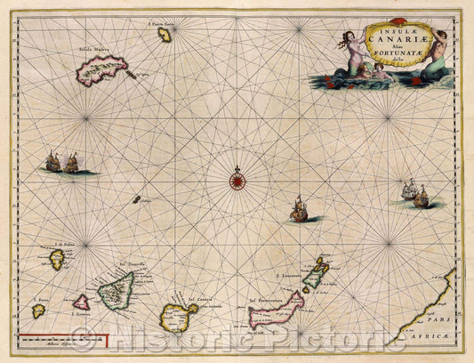 Historic Map : Insulae Canariae Alias Fortunatae dictae., c. 1664 , Vintage Wall Art