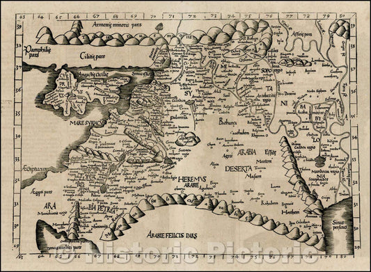 Historic Map - Map of Cyprus, Syria, Palestine, etc, 1522, Lorenz Fries - Vintage Wall Art