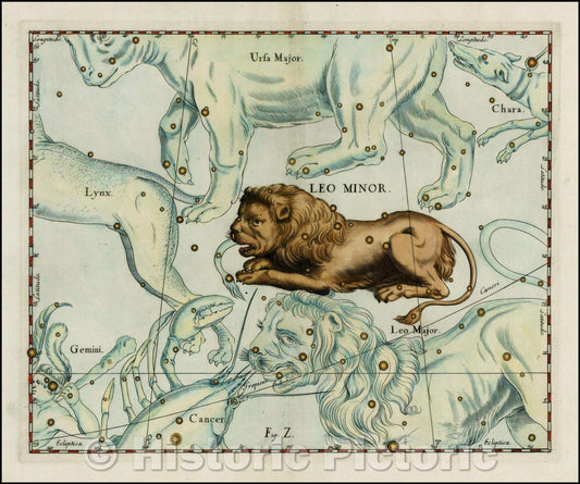 Historic Map - Leo Minor (Stars heightened in gold), 1687, Johannes Hevelius - Vintage Wall Art
