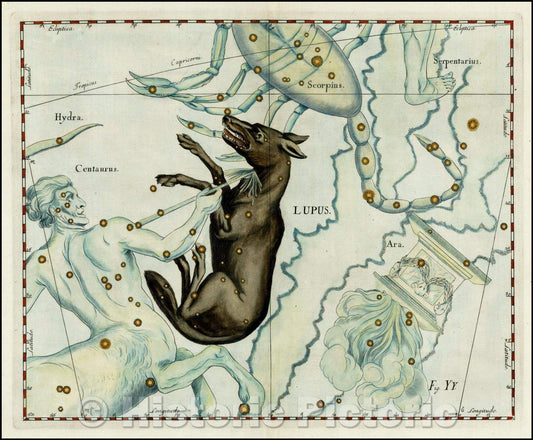 Historic Map - Lupus (Stars heightened in gold), 1687, Johannes Hevelius - Vintage Wall Art