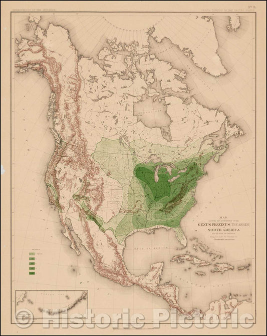 Historic Map - Map Showing The Distribution Of The Genus Fraxinus (The Ashes) In North America Exclusive of Mexico, 1884, Julius Bien & Co. - Vintage Wall Art