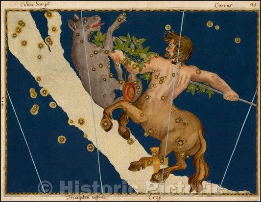 Historic Map - Lupus and Centaurus, Stars Heightened in Gold, 1603, Johann Bayer - Vintage Wall Art