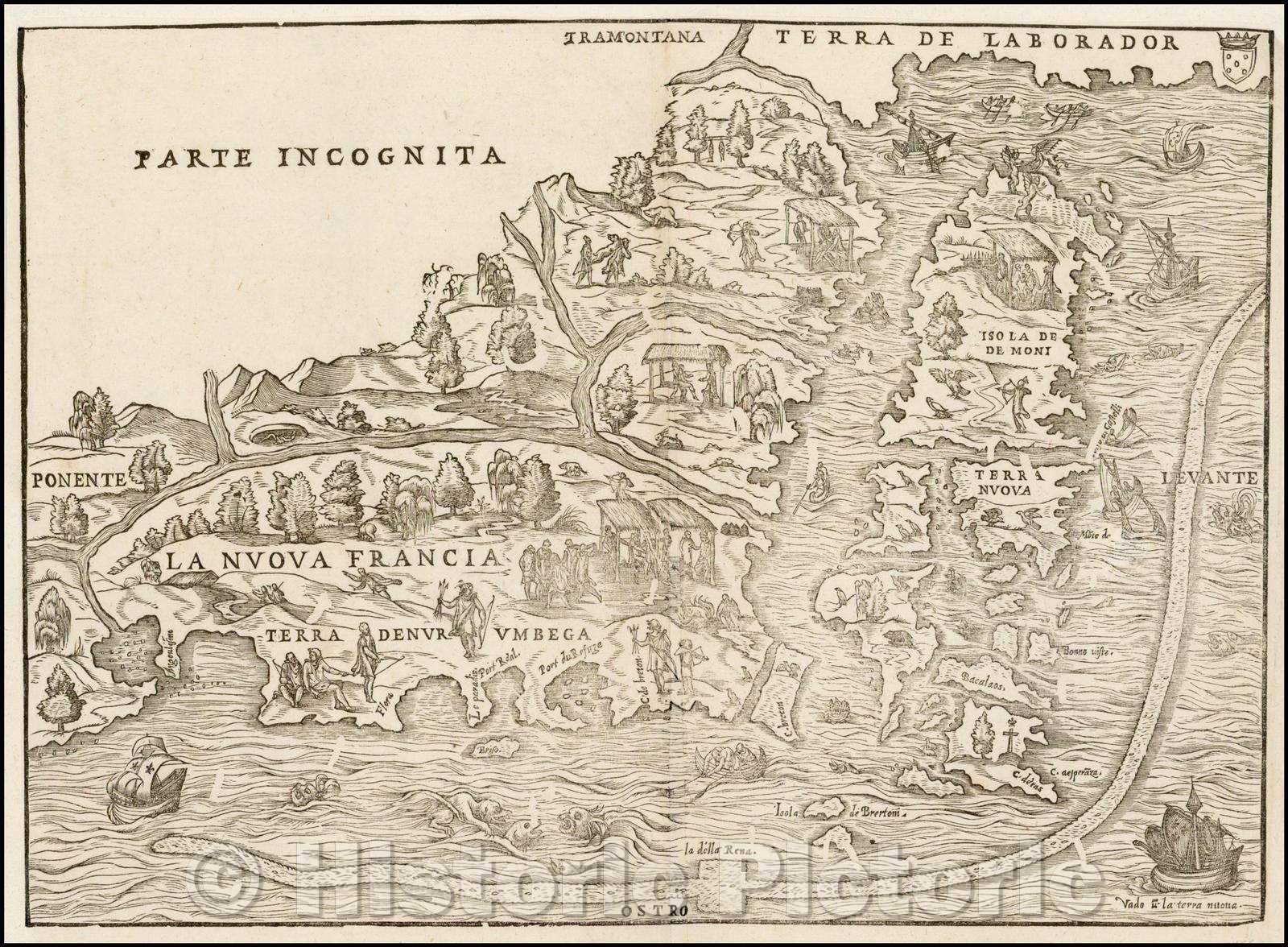 Historic Map - La Nuova Francia, 1565, Giacomo Gastaldi - Vintage Wall Art