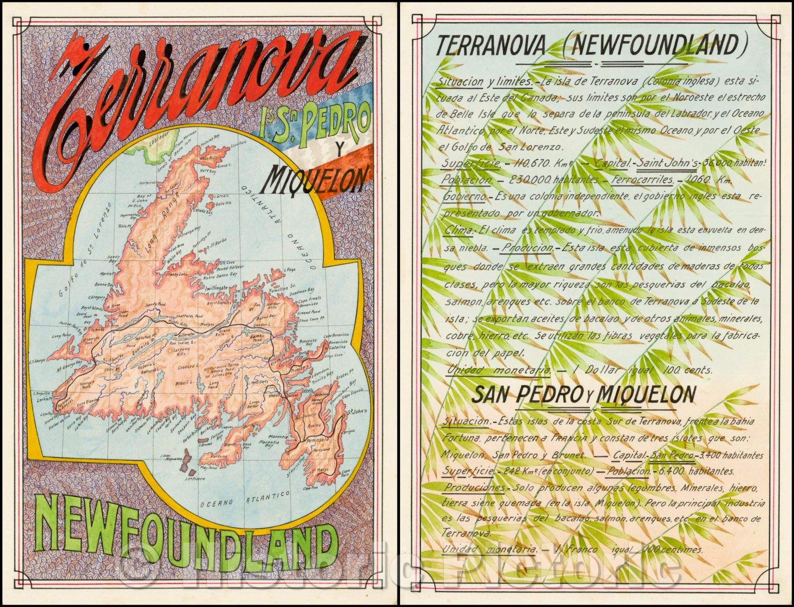 Historic Map - Terranova Is. Sn Pedro y Miquelon, 1939, Antonio F. Raggio - Vintage Wall Art