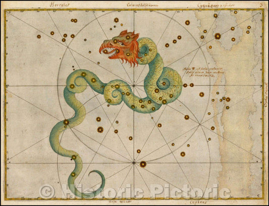 Historic Map - Draco, 1624, Johann Bayer - Vintage Wall Art