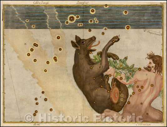 Historic Map - Lupus and Centaurus, 1624, Johann Bayer - Vintage Wall Art