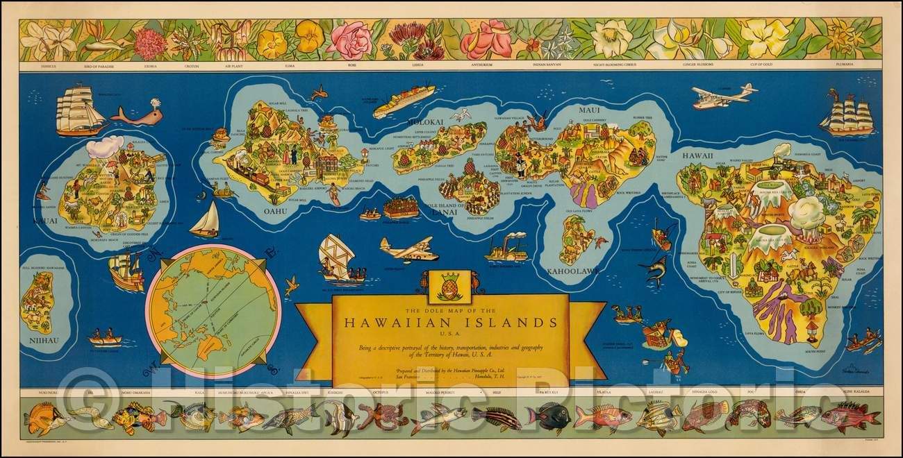 Historic Map - The Dole of the Hawaiian Islands, U.S.A, 1937 v1