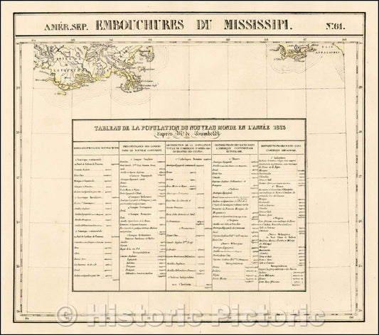 Historic Map - Amer. Sep. No. 61. Emboucheres Du Mississipi (Mouth of the Mississippi River and Appalachee Bay), 1825, Philippe Marie Vandermaelen - Vintage Wall Art