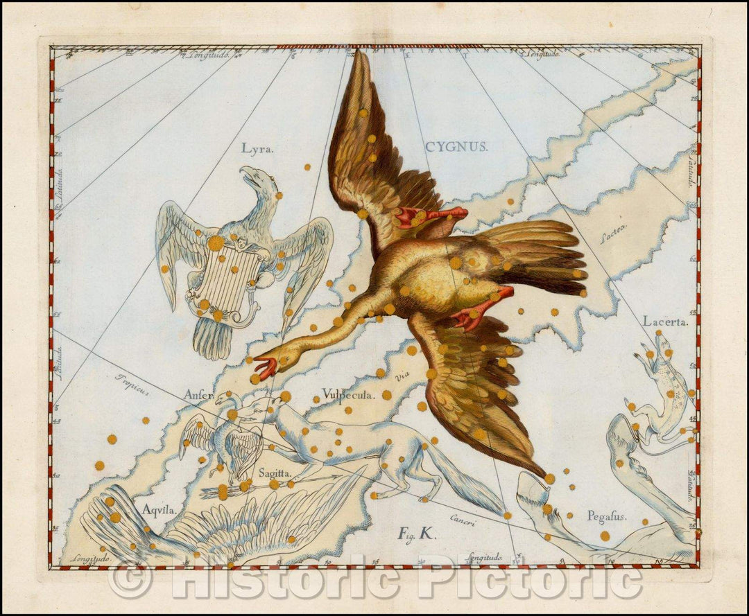Historic Map - Cygnus, 1687, Johannes Hevelius - Vintage Wall Art
