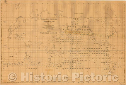 Historic Map - Whale Chart, 1851, Matthew Fontaine Maury - Vintage Wall Art