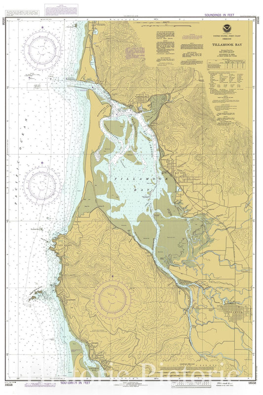 Tillamook Bay Nautical Chart 1984 - Oregon Coast Map Print