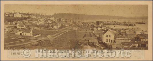 Historic Map - Seattle, King County, Wash. Ter. (Looking South), 1878, Peterson & Brother - Vintage Wall Art