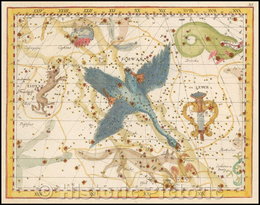 Historic Map - Leyer, Schwan Eidexe (Cygnus, Lacerta, and Lyra) / Star Chart centered the constellations Cygnus, Lacerta, and Lyra, 1805, Johann Elert Bode - Vintage Wall Art