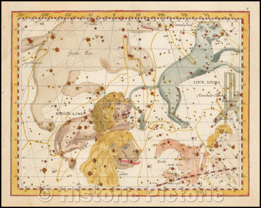Historic Map - Linx, Luchs & Klein Lowe (Lynx and Leo Minor) / Star Chart centered the constellations Leo Minor and Lynx, Johann Elert Bode (1747-1826), 1805 - Vintage Wall Art
