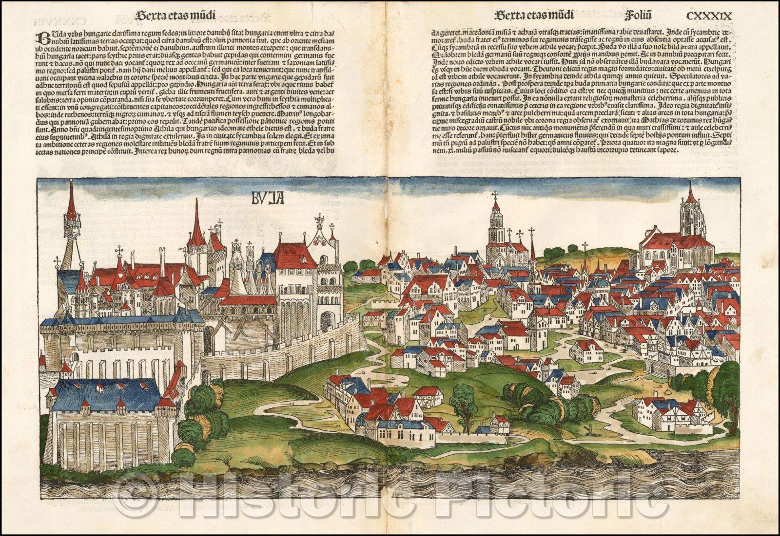 Historic Map - Buda Budapest, 1493, Hartmann Schedel - Vintage Wall Art