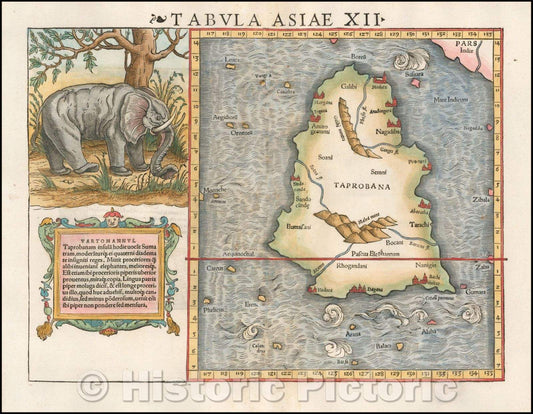 Historic Map - Tabula Asiae XII Sri Lanka - with Elephant, 1545, Sebastian M?nster - Vintage Wall Art