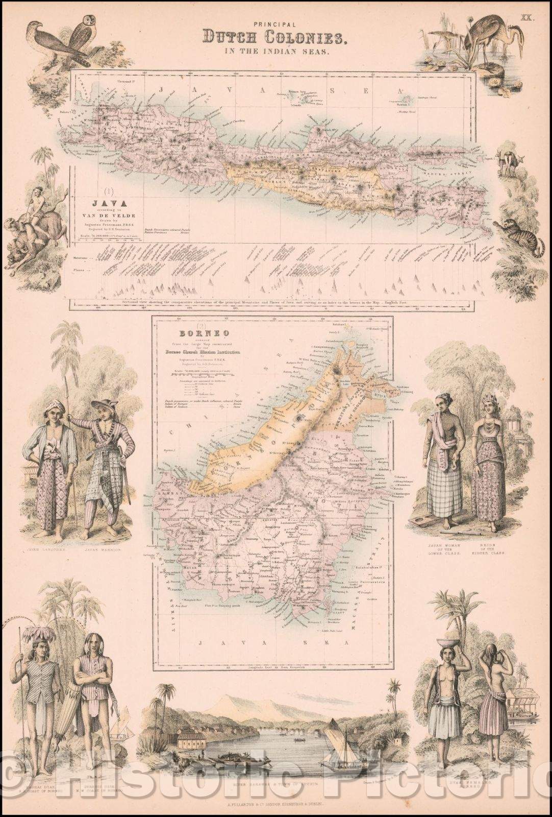 Historic Map - Principal Dutch Colonies in the Indian Seas (Java and Borneo), 1855, Archibald Fullarton & Co. - Vintage Wall Art