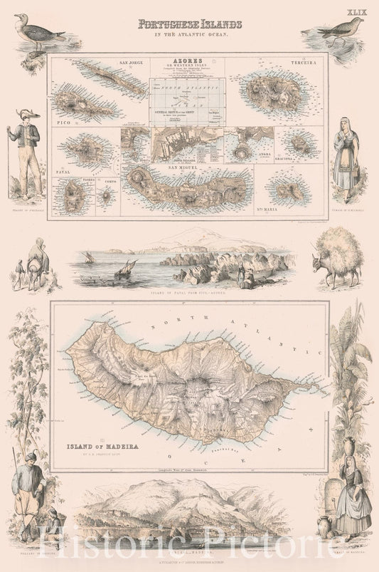 Azores and Madeira - Portuguese Atlantic Islands, 1865 Map Print