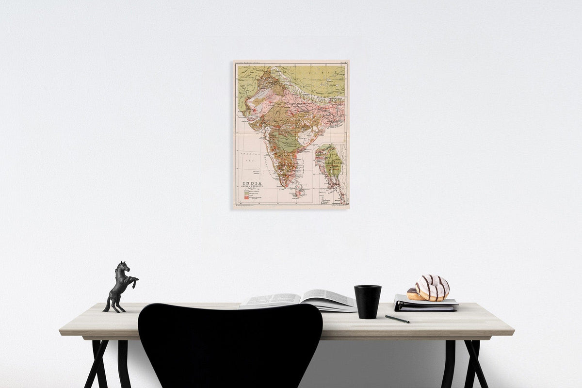 Historic Map : India : Aniimal products. Plate 12, 1893, Vintage Wall Decor