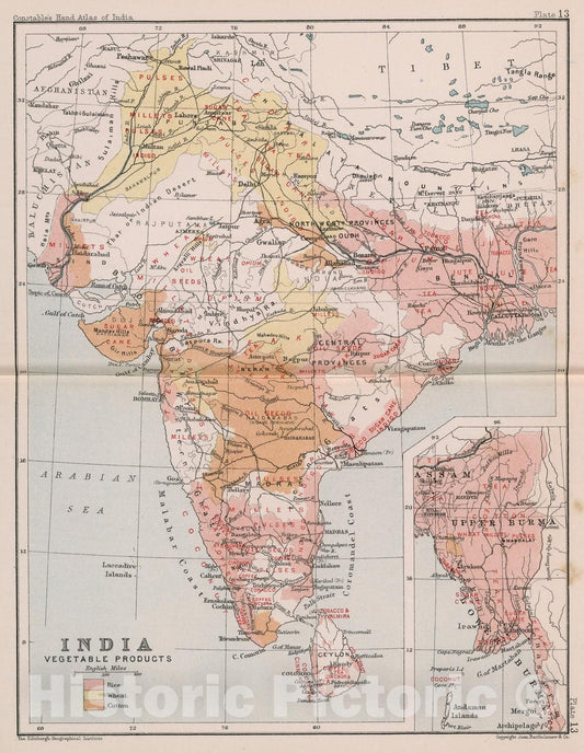 Historic Map : India : Vegetable products. Plate 13, 1893, Vintage Wall Decor