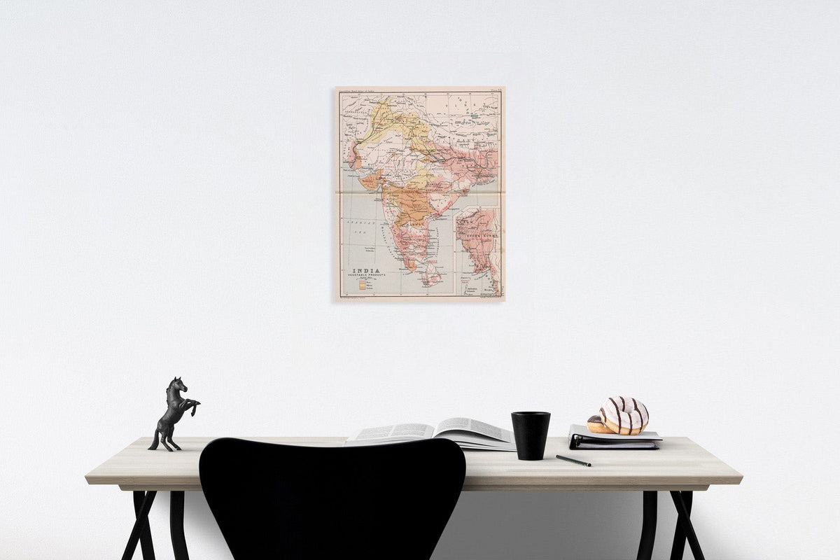 Historic Map : India : Vegetable products. Plate 13, 1893, Vintage Wall Decor