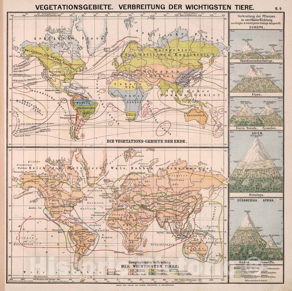 Historic Map : S9. Vegetationgebiete. Verbreitung der Wichtigsten Tiere., 1883, Vintage Wall Decor