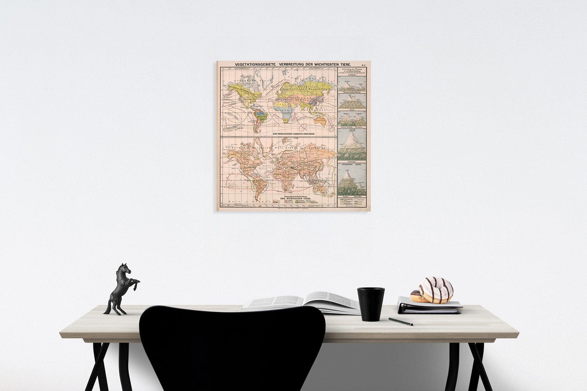 Historic Map : S9. Vegetationgebiete. Verbreitung der Wichtigsten Tiere., 1883, Vintage Wall Decor