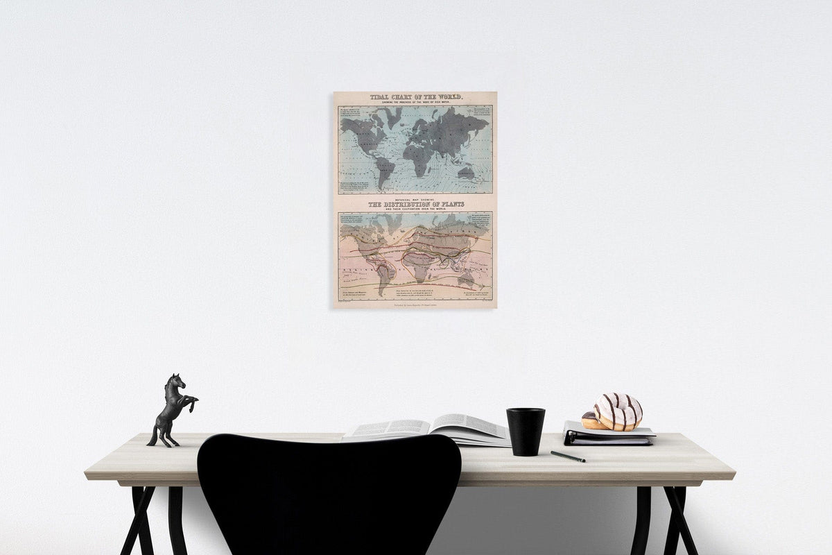 Historic Map : Tidal chart of the world. Botanical map showing the distribution of plants, 1850, Vintage Wall Decor