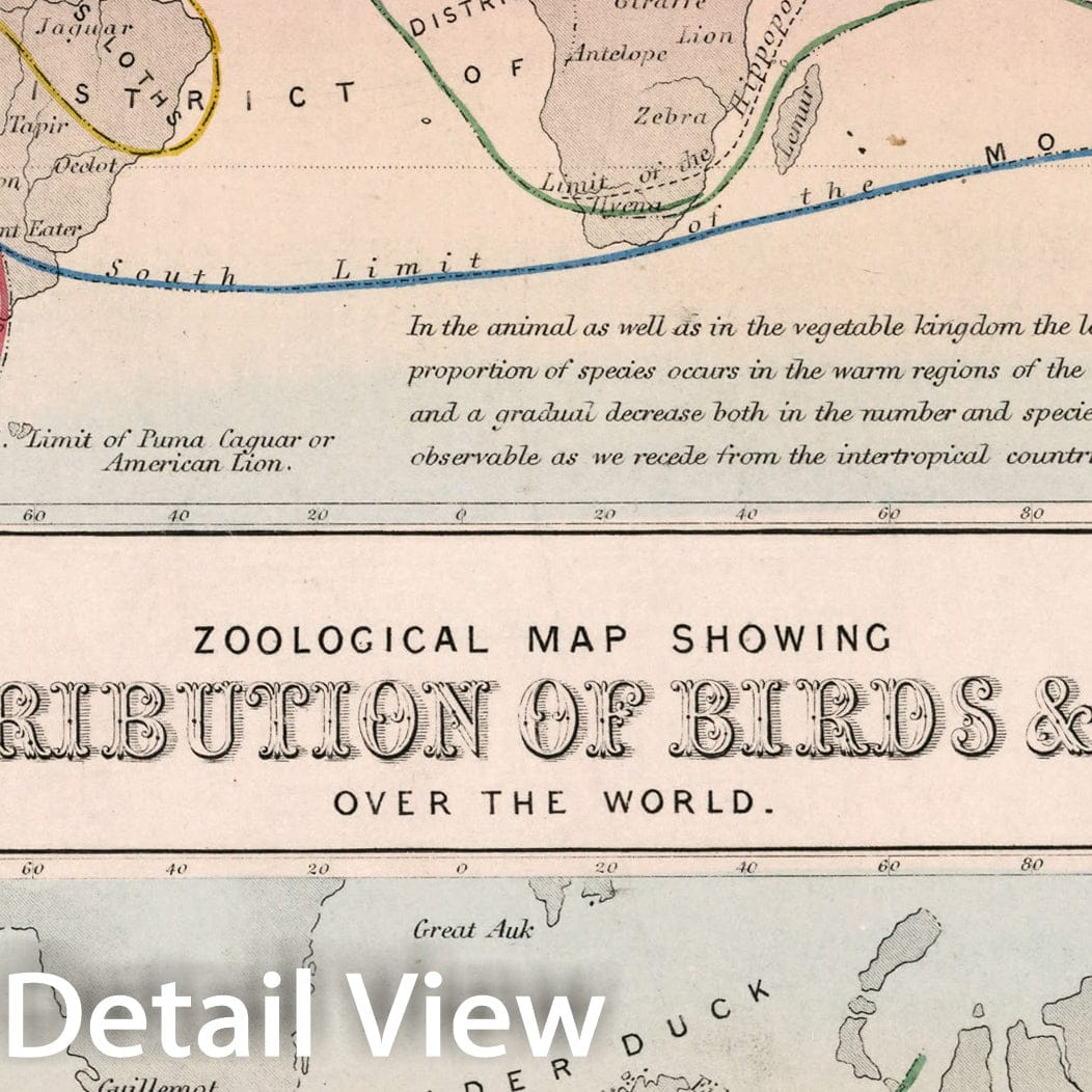 Historic Map : Zoological map showing the distribution of animals. Zoological map showing the distribution of birds & reptiles, 1850, Vintage Wall Decor