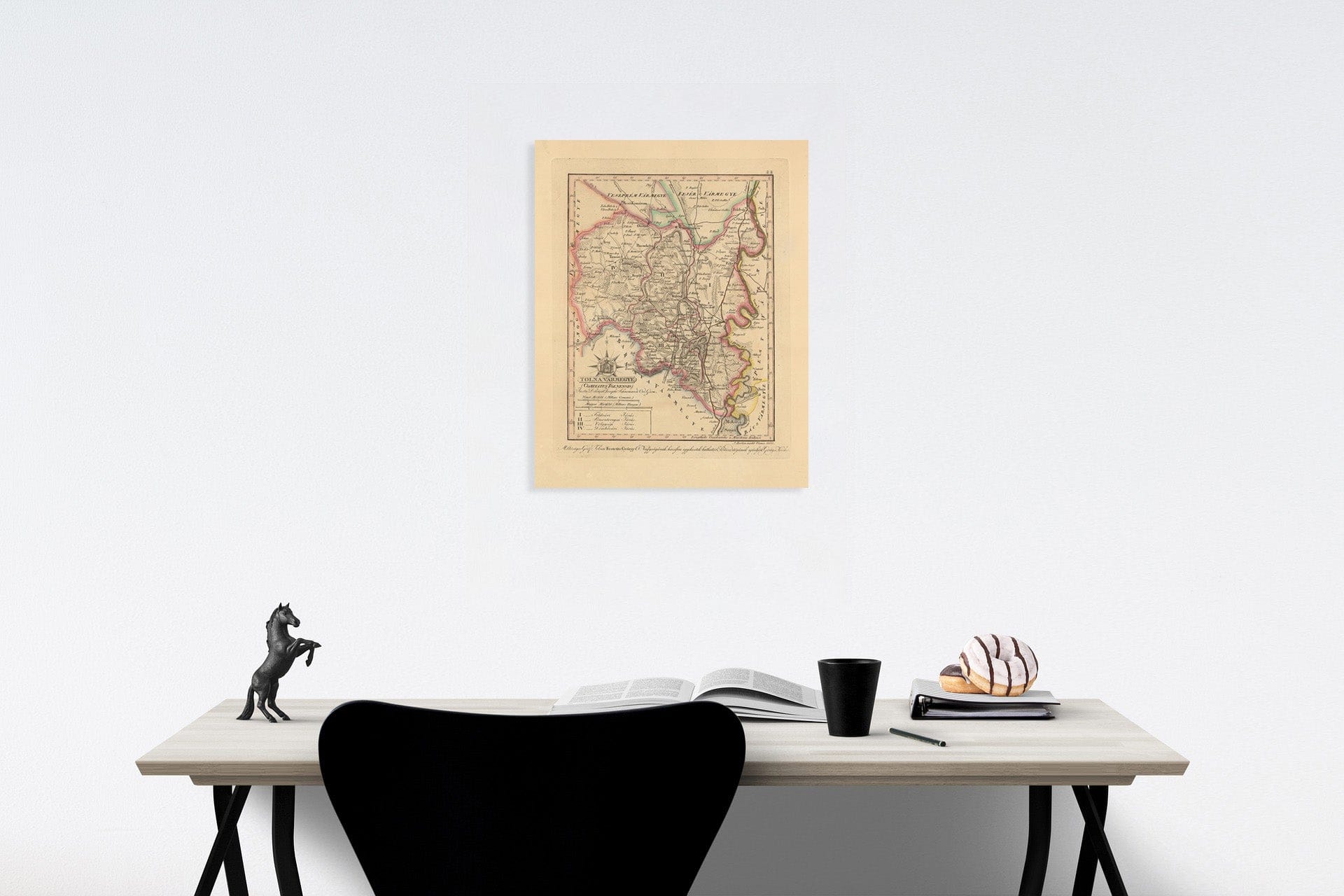 Historic Map : Tolna Varmegye = Comitatus Tolnensis, 1800, Vintage Wall Decor