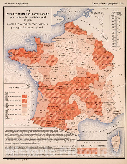 Historic Map : XVI. Poids des animaux de l'espece porcine par hectare du territoire total, en 1882, 1887, Vintage Wall Decor