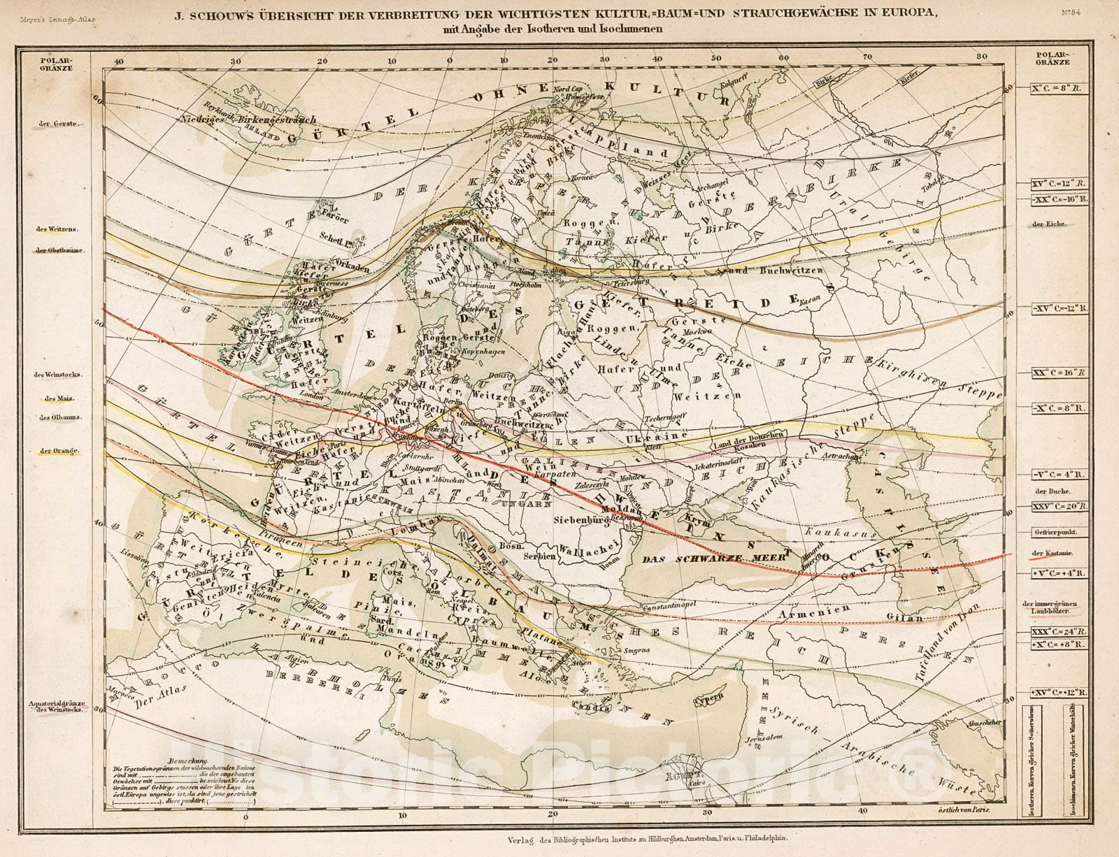Historic Map : J. Schouw's Ubersicht der Verbreitung der Wichtigsten Kultur-, Baum- und Strauchgewachse in Europa, 1852, Vintage Wall Decor