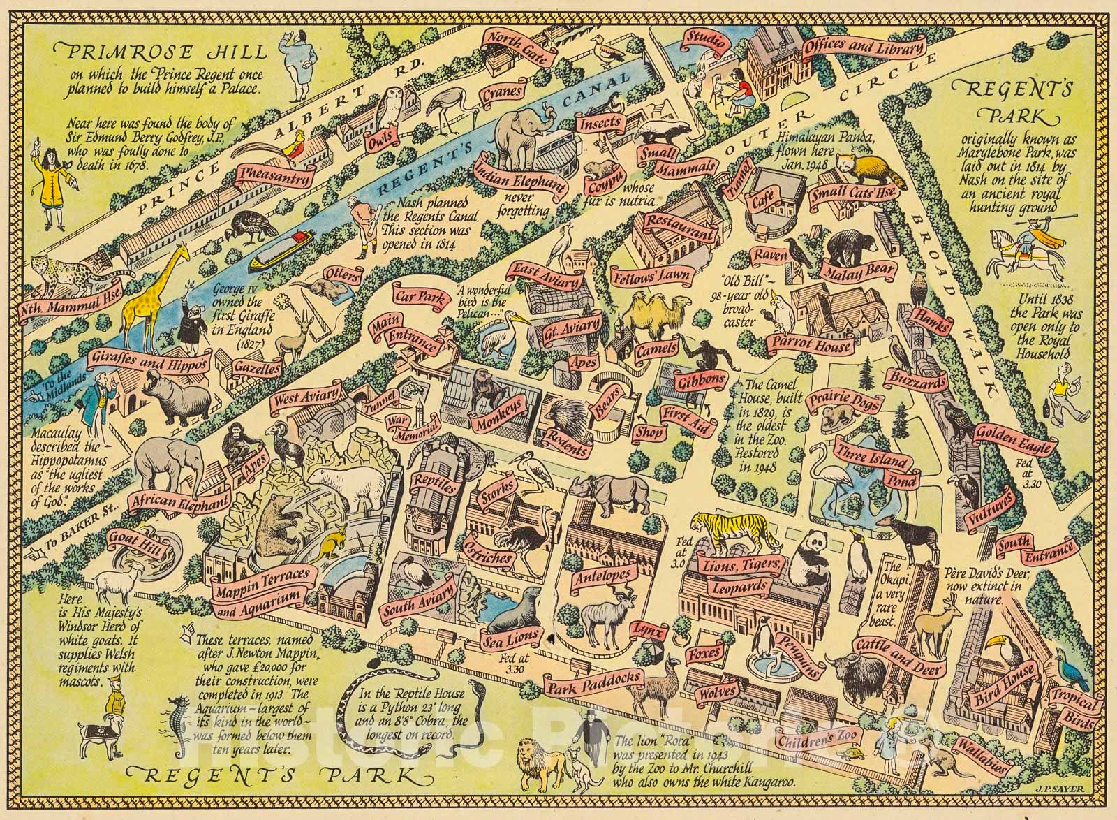 Historic Map : A map of Zoological Society's Garden in Regent Park ... the Zoo, 1947, Vintage Wall Decor