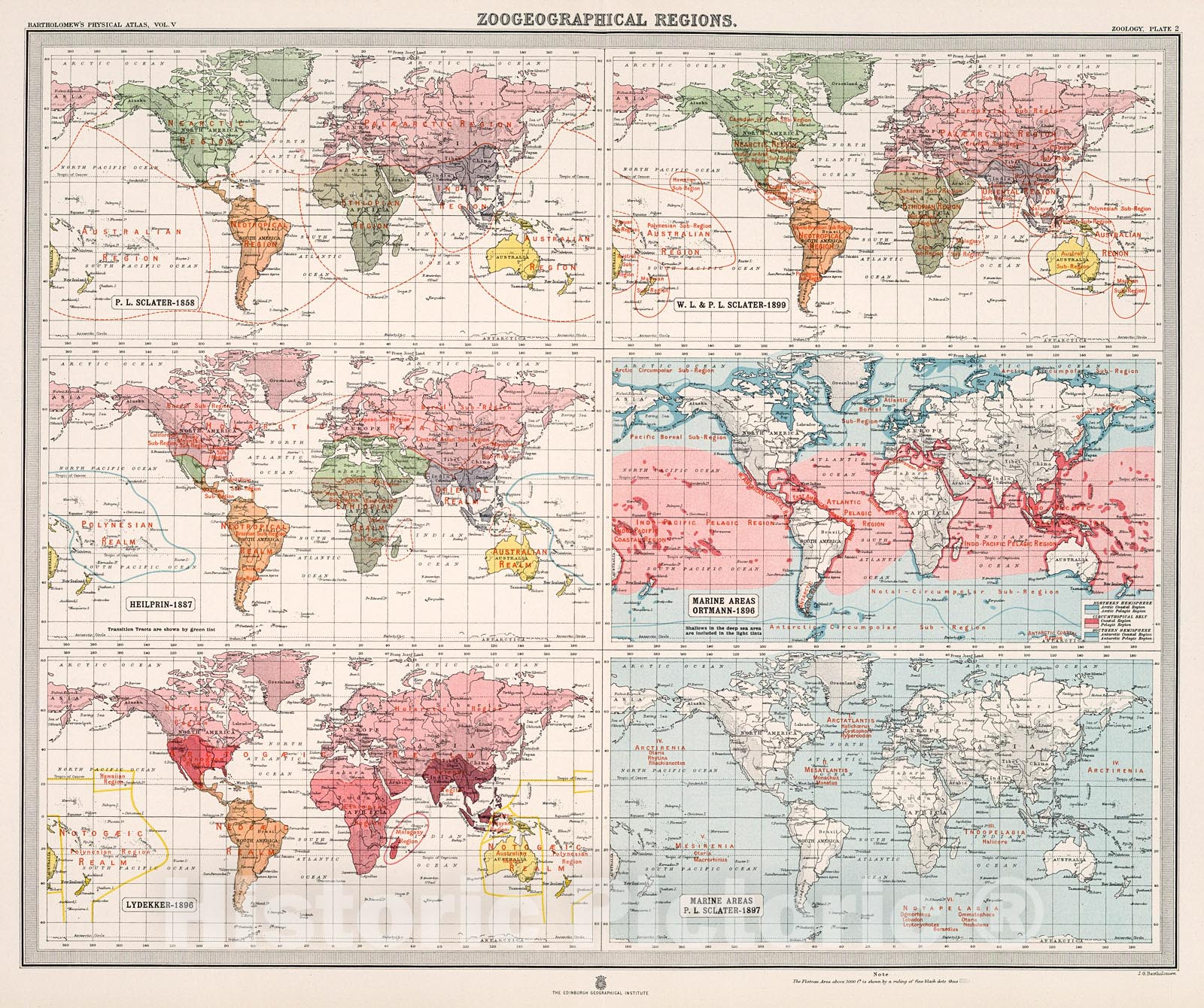 Historic Map : Plate 2. Zoogeographical Regions., 1911, Vintage Wall Decor