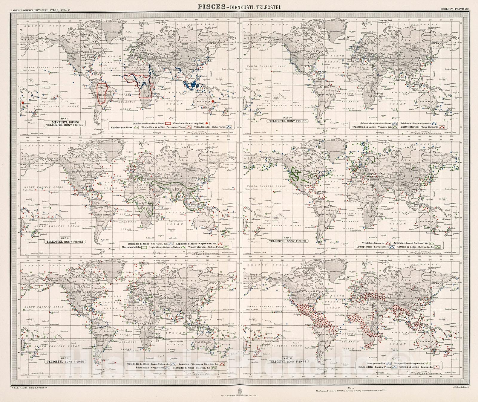 Historic Map : Plate 22. Pisces - Dipneustl (Dipnoi); Teleostel (Bony Fishes);, 1911, Vintage Wall Decor