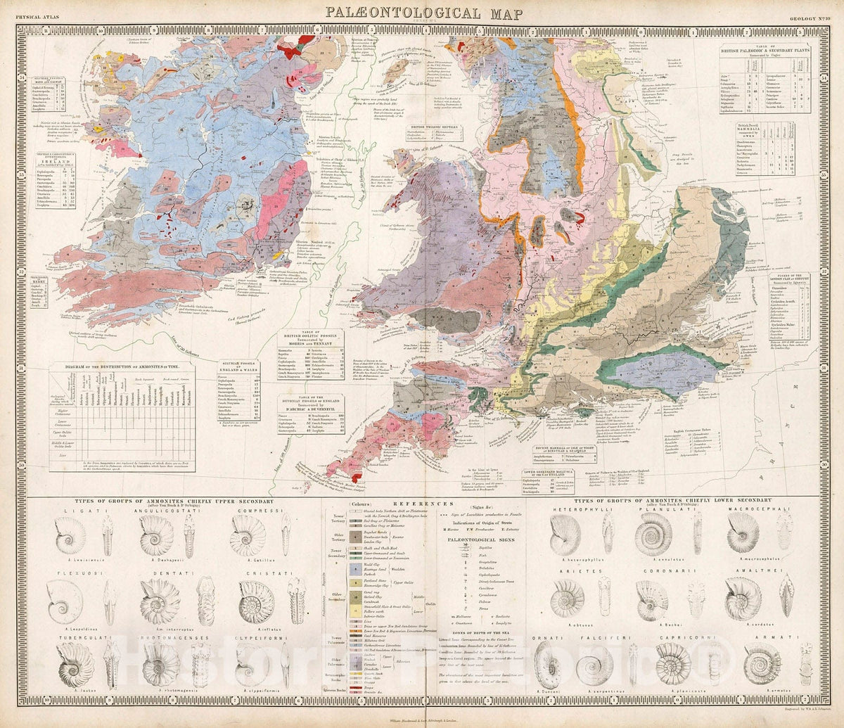 Historic Map : Paleontological Map of the British Islands. (Southern Sheet)., 1850, Vintage Wall Decor