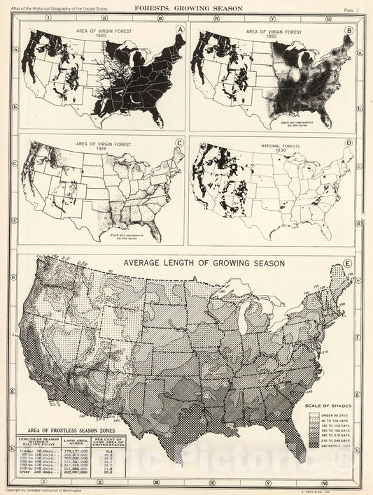 Historic Map : Plate 3. Forests., 1932, Vintage Wall Decor
